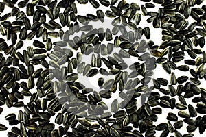 Black sunflower seeds isolated over white background