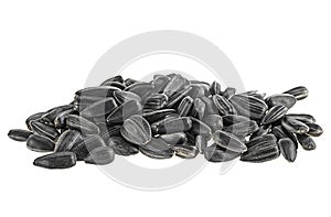 Black sunflower seeds isolated on white background