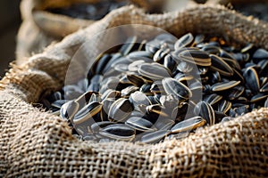 black sunflower seeds production process