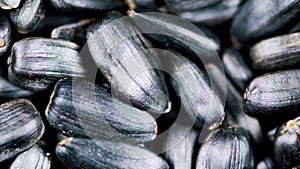 Black sunflower seeds in shell top view. Healthy source of vitamins in vegan food.