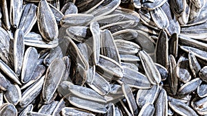 Black sunflower seeds. For texture or background