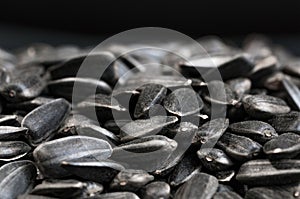 Black sunflower seeds Texture, dark background.