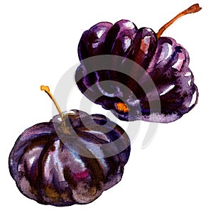 Black Suriname Cherry Pitanga, Tropical Eugenia uniflora fruit, isolated, watercolor illustration on white photo