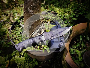 Black Survival knife / knives in the wood