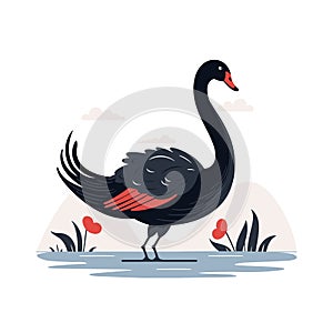 Black swan illustration design isolated on white background.