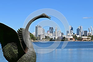 Black swan sculpture on swan river against Perth city downtown skyline