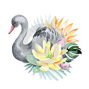 Black swans with flowers and plants.
