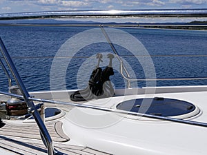 Black synthetic mooring ropes on the chrome-polished handrails of a beautiful pleasure yacht on a sunny spring day