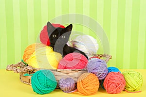 Black tabby kitten in basket of yarn