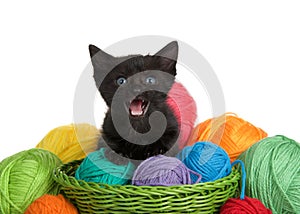 Black tabby kitten with blue eyes in a green woven basket full of yarn