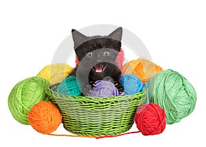 Black tabby kitten with blue eyes in a green woven basket full of yarn overflowing