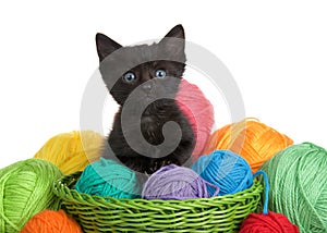 Black tabby kitten with blue eyes in a green woven basket full of yarn overflowing