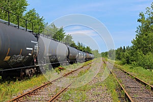Black tanker cars of a train sitting idle on an overgrown rusty track on a sunny summer day in Nova Scotia