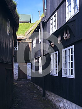 Black-tarred grass-roofed houses with dried fish hanging on hooks and narrow cobblestone street in TÃ³rshavn.