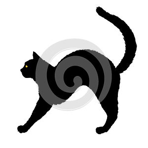 Black tat silhouette, Scary cat Halloween for t-shirt, vector