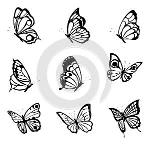Black tattoo butterflies. Farfalle insects etching drawings, decorative isolated butterfly silhouette graphics