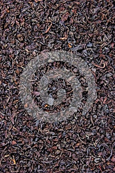 Black Tea Leaf Texture Closeup Background, Large Detailed Textured Vertical Macro Closeup Pattern