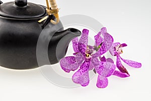 Black tea pot with Pink mokara orchids isolated on white background