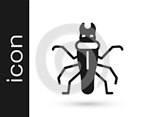 Black Termite icon isolated on white background. Vector