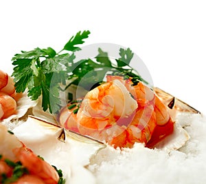 Black Tiger Prawns 2