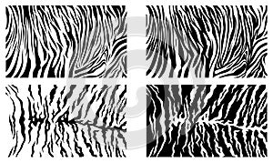 Black Tiger Stripes Vector Pattern Texture Background Stock Collection photo