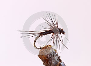 Black tiny fly fishing lure