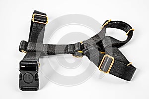 Black tissue dog harness with gold metal fittings isolated on white background. For a safe trip and walk with your pet. Pet