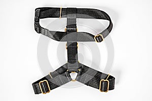 Black tissue dog harness with gold metal fittings isolated on white background. For a safe trip and walk with your pet. Pet