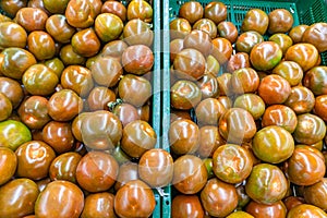 Black tomatoes on famer market display, fresh tomato