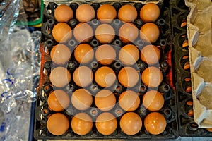 Black trays full of natural light brown chicken eggs selling in local food market, top view selective focus