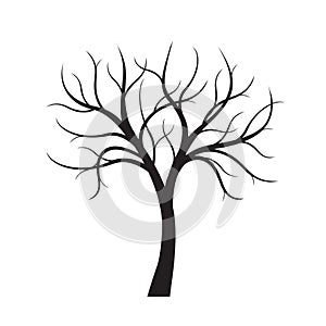 Black Tree without leaves on white background. Vector Illustration