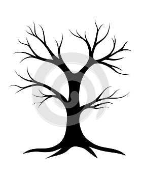 Black tree outline without leaves on white background. Winter, fall, autumn nature. Vector art