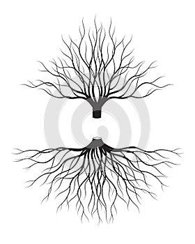 Black Tree with Roots on transparent background. Vector Illustration