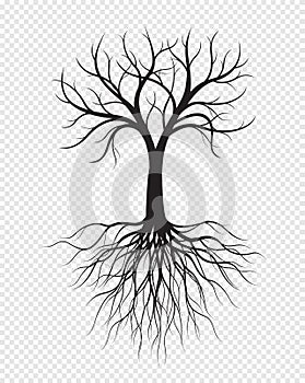 Black Tree with Roots on transparent background. Vector Illustration