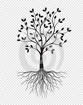 Black Tree with Roots on transparent background. Vector Illustration