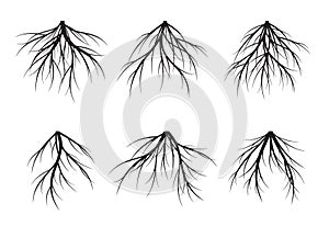 Black Tree Roots. Vector Illustration