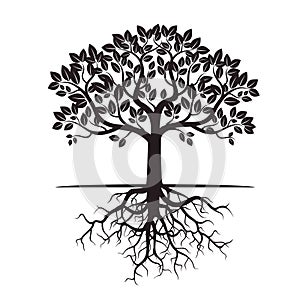 Black Tree and Roots. Vector Illustration.