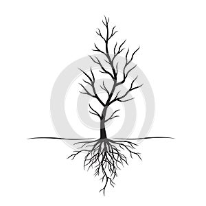 Black Tree with roots. Vector Illustration and natural element.