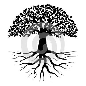 Black tree with roots. White background. Icon for decorative design. Nature art. Vector illustration. Stock image.