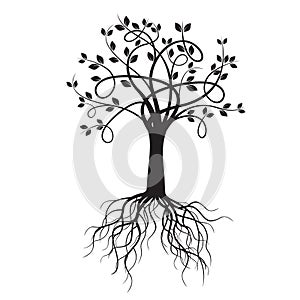 Black Tree and Rots. Vector Illustration.