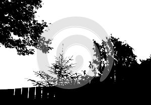Black tree silhouette. Card with copy space. Isolated on white background. Vector nature illustration