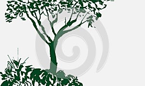 Black tree silhouette isolated on white background. ISumi-e, u-sin, gohua painting style. Stylized Inked drawing. Hand