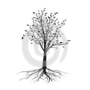 Black tree silhouette with leaves and root. Ecology and nature concept. Vector illustration isolated on white