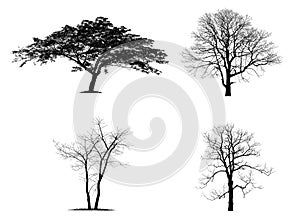 Black tree silhouettes isolated on white background