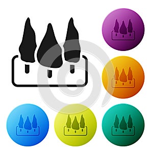 Black Trees icon isolated on white background. Forest symbol. Set icons in color circle buttons. Vector