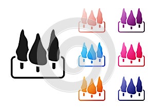 Black Trees icon isolated on white background. Forest symbol. Set icons colorful. Vector