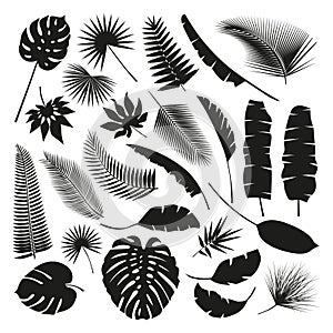 Black Tropical Leaves Collection, isolate vector. Set