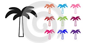 Black Tropical palm tree icon isolated on white background. Coconut palm tree. Set icons colorful. Vector