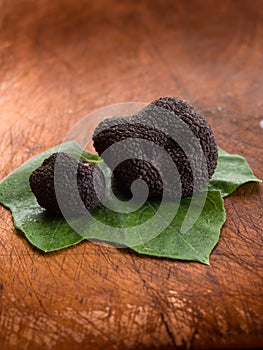 Black truffle over leaf