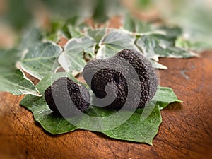 Black truffle over leaf